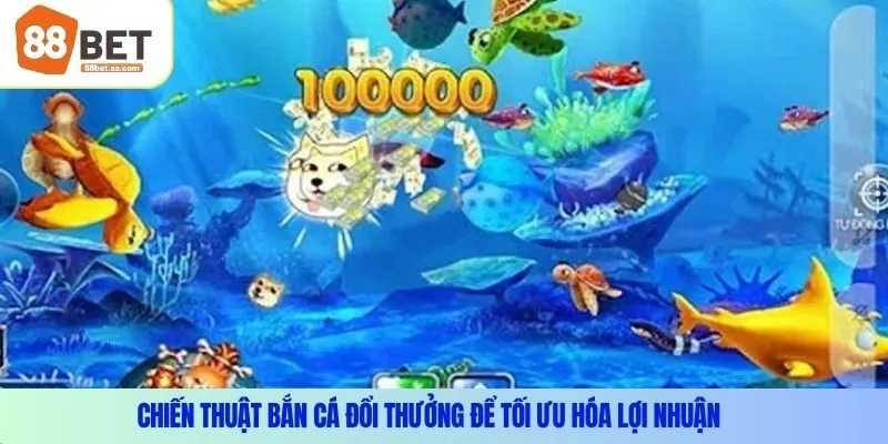 Chiến thuật bắn cá đổi thưởng để tối ưu hóa lợi nhuận